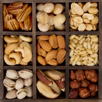 Edible Nuts